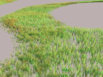 Aquatic Plants Thriving in Shallow Water With Green Foliage and Natural Growth Environment 3d model