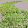 Aquatic Plants Thriving in Shallow Water With Green Foliage and Natural Growth Environment