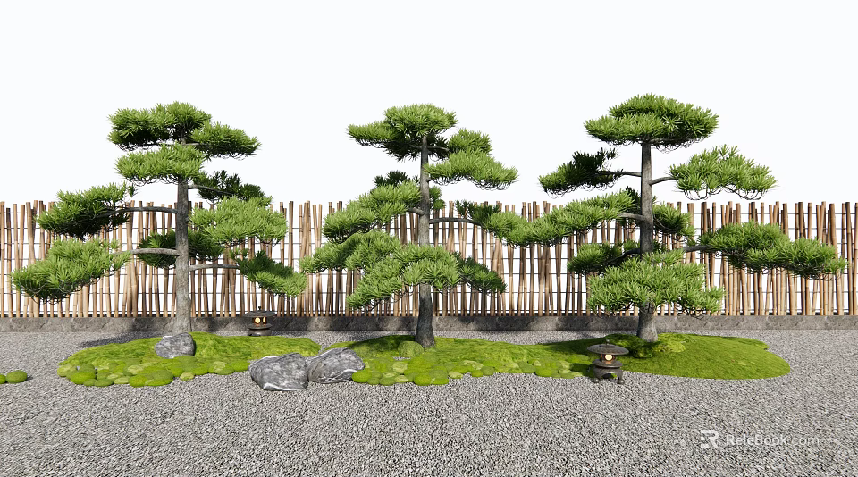 Pine Trees In Traditional Garden With Bamboo Fence Grass Stones And Stone Lantern 3d model 