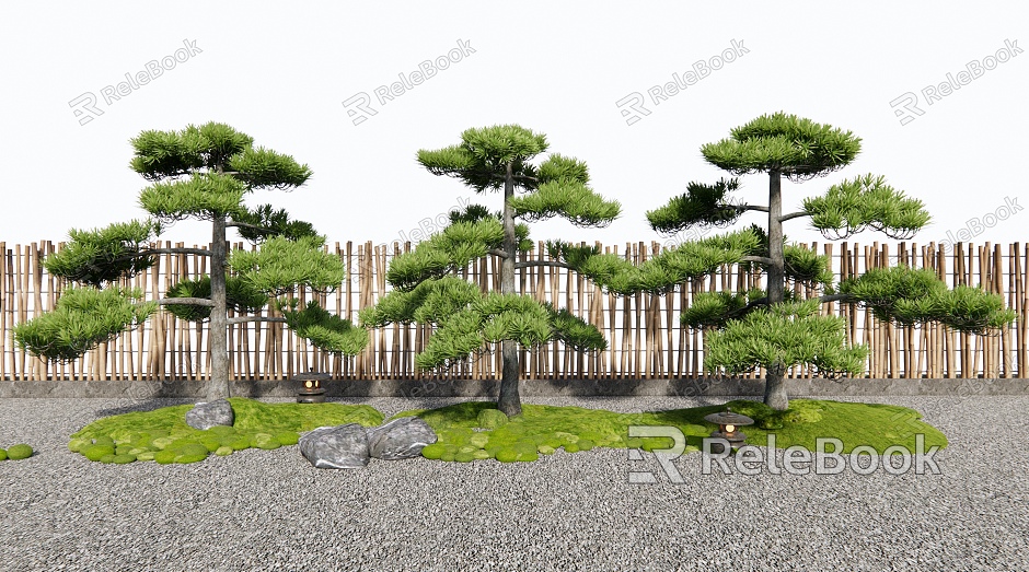 Pine Lohan Pine Black Pine Courtyard Sit Stone model