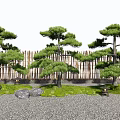 Pine Trees In Traditional Garden With Bamboo Fence Grass Stones And Stone Lantern