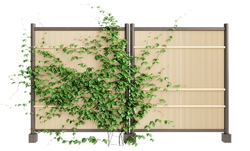 Modern Fence Guardrail Fence Climbing Vine Plant 3d model