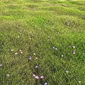 Natural Style Decorative Ornament Set With Green Grass Purple And White Flowers