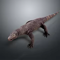 Detailed Reptile Lizard With Realistic Scaled Body Long Tail And Gray Backdrop