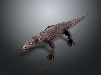 Detailed Reptile Lizard With Realistic Scaled Body Long Tail And Gray Backdrop 3d model