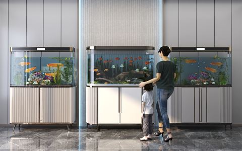 Modern fish tank fish tank combination 3d model