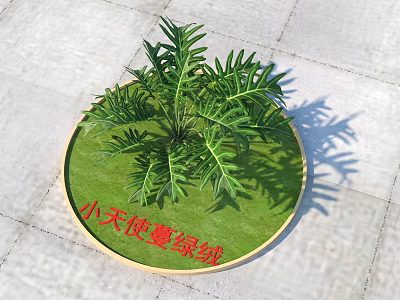 Philodendron Xanadu Shrub Growing On Circular Green Lawn With Stone Paved Ground And Shadow 3d model