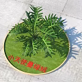 Philodendron Xanadu Shrub Growing On Circular Green Lawn With Stone Paved Ground And Shadow