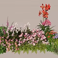 Colorful Garden Plant Combination With Red Blooms Pink Flowers Purple Blossoms And Ferns