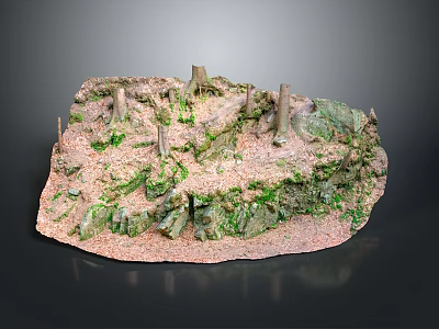 Miniature Natural Landscape With Irregular Terrain Dirt Green Moss Wooden Stumps And Undulating Surface 3d model