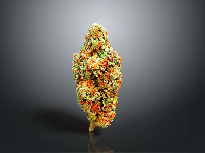 Cannabis Plant Flower Bud With Green Orange Yellow Colors Cone Shaped Form On Dark Background With Reflection 3d model