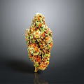 Cannabis Plant Flower Bud With Green Orange Yellow Colors Cone Shaped Form On Dark Background With Reflection