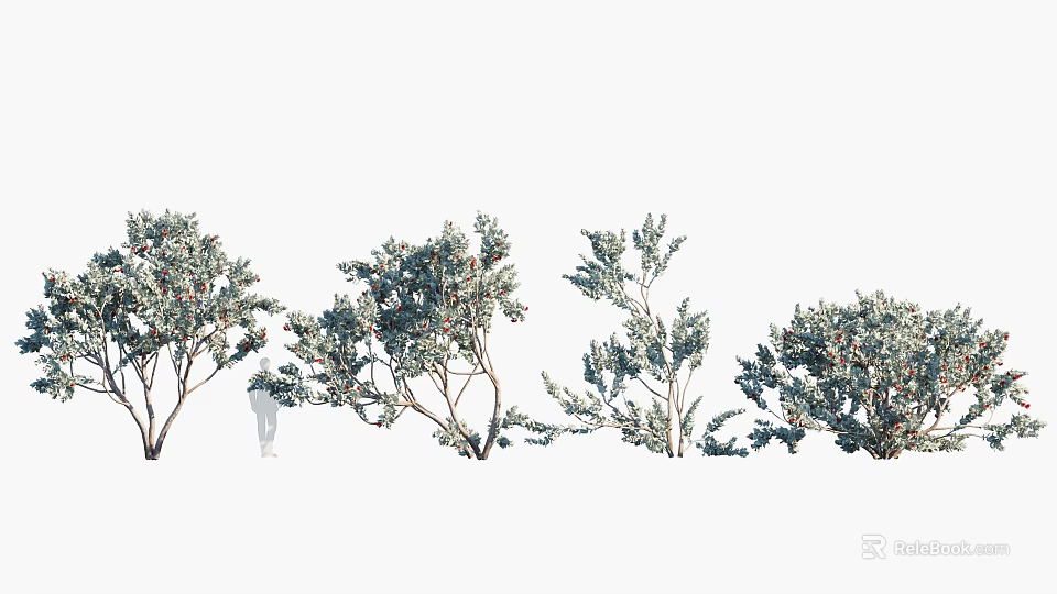Arbor Trees With Various Lush Foliage And Dense Branches In Natural Arrangement 3d model 