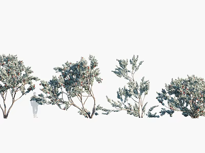 Arbor Trees With Various Lush Foliage And Dense Branches In Natural Arrangement 3d model
