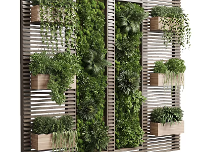 Vertical Green Wall With Various Plants On Slatted Wooden Structure 3d model