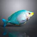 Colorful Turquoise Fish With Fine Patterns Blue Fins Tail Yellow Red Head Gray Background Reflection