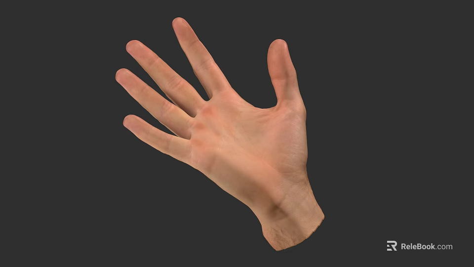 Human Hand with Extended Fingers Showing Skin Texture and Anatomical Details 3d model 