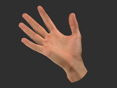 Human Hand with Extended Fingers Showing Skin Texture and Anatomical Details 3d model