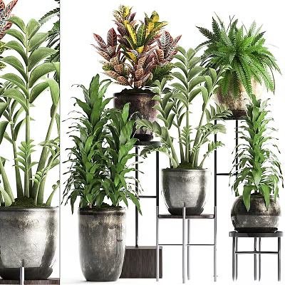 Decorative Ornament Set With Green Plants Pots and Metal Shelves 3d model