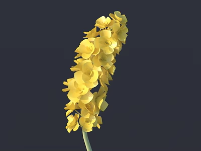 Modern Flowers 3d model