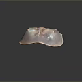 Horseshoe Crab With Pinkish White Smooth Shell Flat Body And Long Tail On Dark Background
