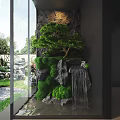 Lush Moss Covered Rockery Stones With Small Waterfall And Pine Tree In Indoor Garden View