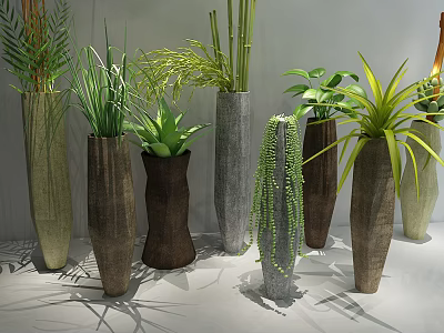Stylish Bonsai Potted Plants With Various Textured Pots Green Succulents Bamboo Ferns For Indoor Decoration 3d model