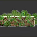 Monstera and Tropical Plants in White Rectangular Planter with Large Green Leaves and Brown Soil