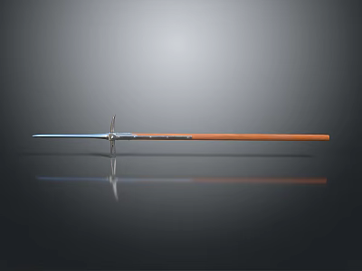 Metal Spear With Wooden Shaft On Black Smooth Surface With Reflection 3d model