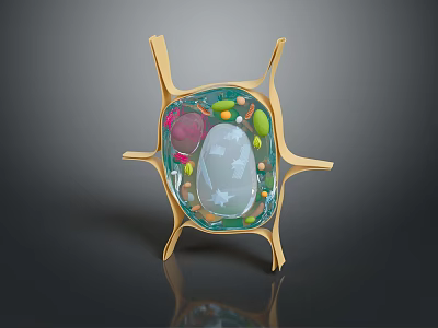 Detailed 3D Model of Cell Organelles with Cilia Structure and Membrane Components 3d model