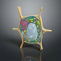 Detailed 3D Model of Cell Organelles with Cilia Structure and Membrane Components