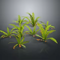 Green Fern Plants With Feathery Leaves And Orange Sporangia On Dark Background With Reflections