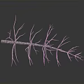 Dried Plant Branch With Thin Delicate Twigs Covered In Frost On Gray Background With Reflection