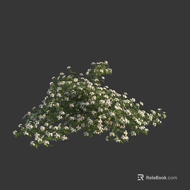 Lush Flowering Shrub With White Flowers And Green Leaves In Garden 3d model 