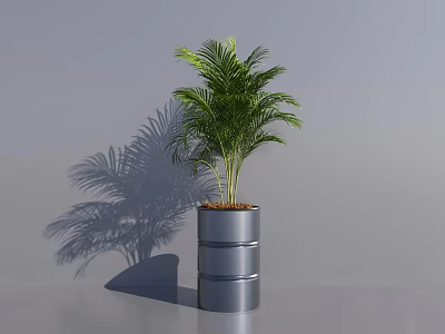 Green Palm Potted Plant In Silver Cylindrical Pot With Gray Background And Shadow 3d model