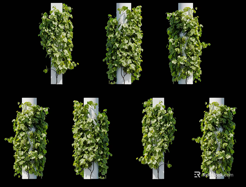 Lush Green Vines Climbing on White Pillars with Fresh Leaves for Garden Decoration 3d model 