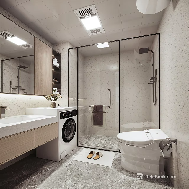 Modern Bathroom Interior With Glass Shower Enclosure Toilet Vanity And Washing Machine 3d model 