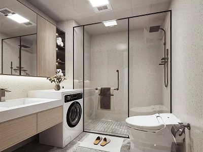 Modern Bathroom Interior With Glass Shower Enclosure Toilet Vanity And Washing Machine 3d model