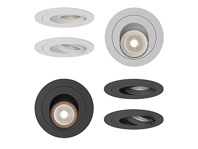 Modern Downlights and Spotlights with White and Black Finish for Home Lighting 3d model