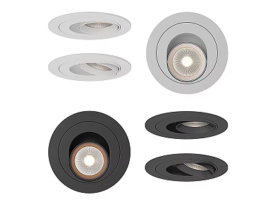 Modern Downlights and Spotlights with White and Black Finish for Home Lighting 3d model