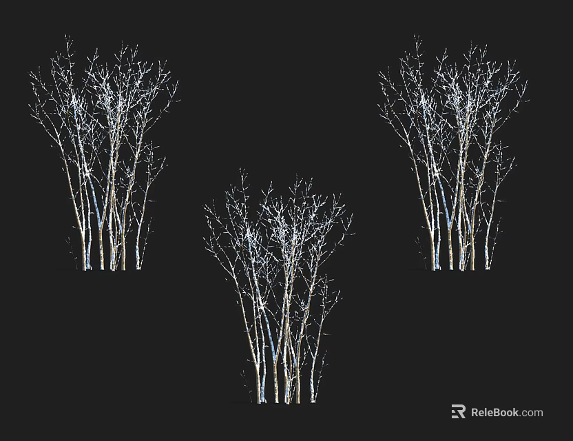Three Tall Bare Trees With White Trunks Standing Against Black Background 3d model 