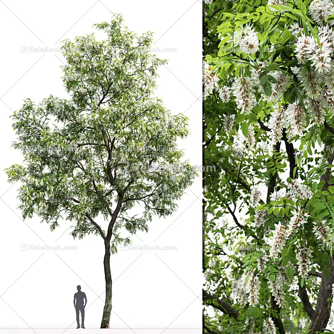 Modern Trees 3d model