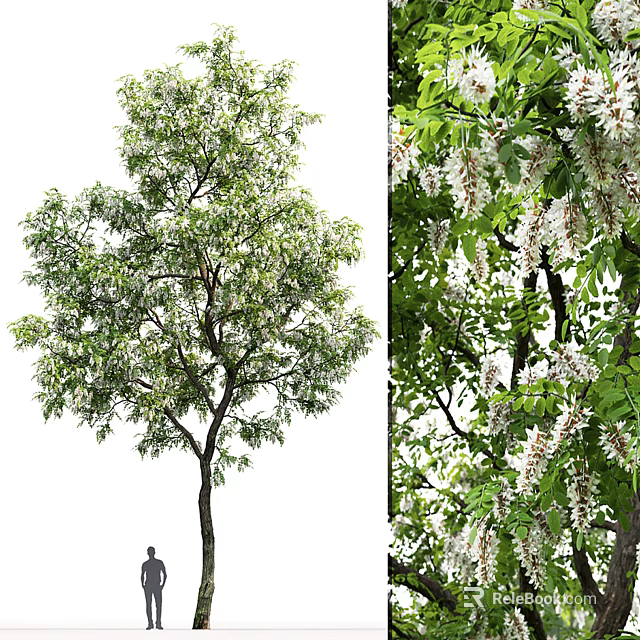 Lush Arbor With Dense Green Foliage And White Blooming Flowers On Branches 3d model 