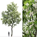 Modern Trees 3d model