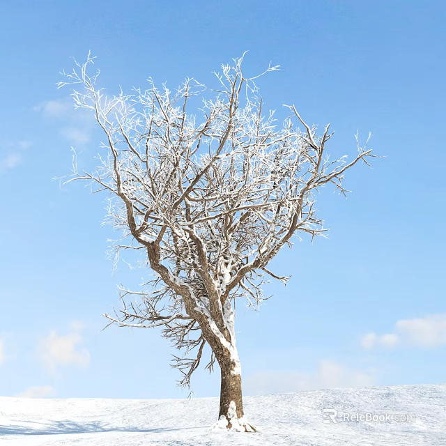 Deciduous Tree With Frosty Branches Against Blue Sky And White Clouds 3d model 
