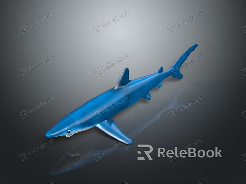 shark great white shark whale shark hammerhead shark tiger head shark man-eating shark blue shark coral red coral white coral model