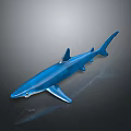 Blue Shark Model With Streamlined Body Dorsal And Pectoral Fins Isolated On Gradient Gray Background