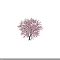 Pink Flowering Arbor With Lush Blossoms And Human Silhouette Against Dark Background