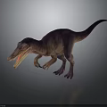 Purple And Brown Theropod Dinosaur With Open Mouth In Walking 3D Model Pose