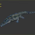 Realistic Lifelike Green Crocodile With Detailed Scaly Skin On Gray Background